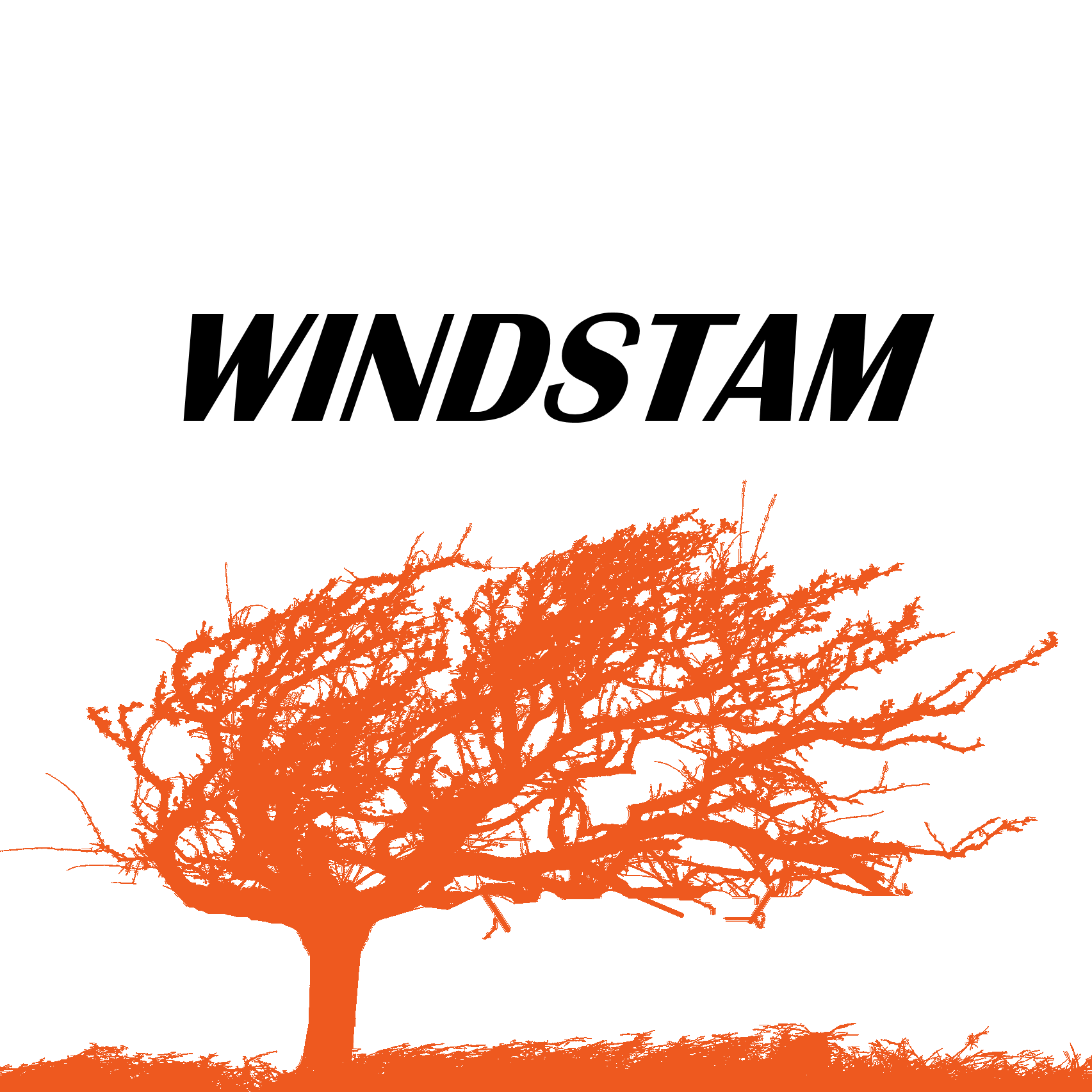 windstam-logo